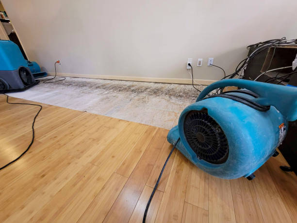 Professional Flood Damage Cleanup technician working in Germantown, WI